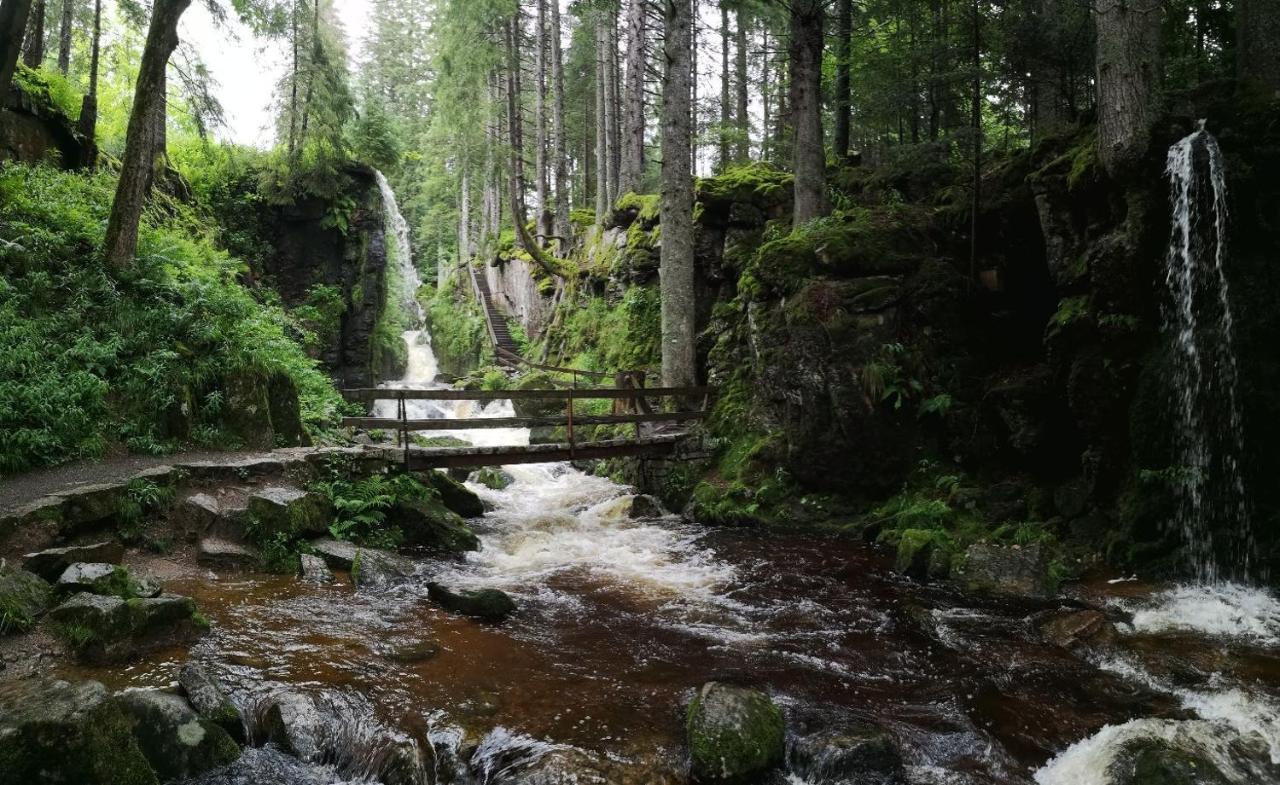 C3 Albmatte-Fewo Sauna, Hallenbad Aussenbecken Massagen Nebenan ซังคท์บลาเซียน ภายนอก รูปภาพ