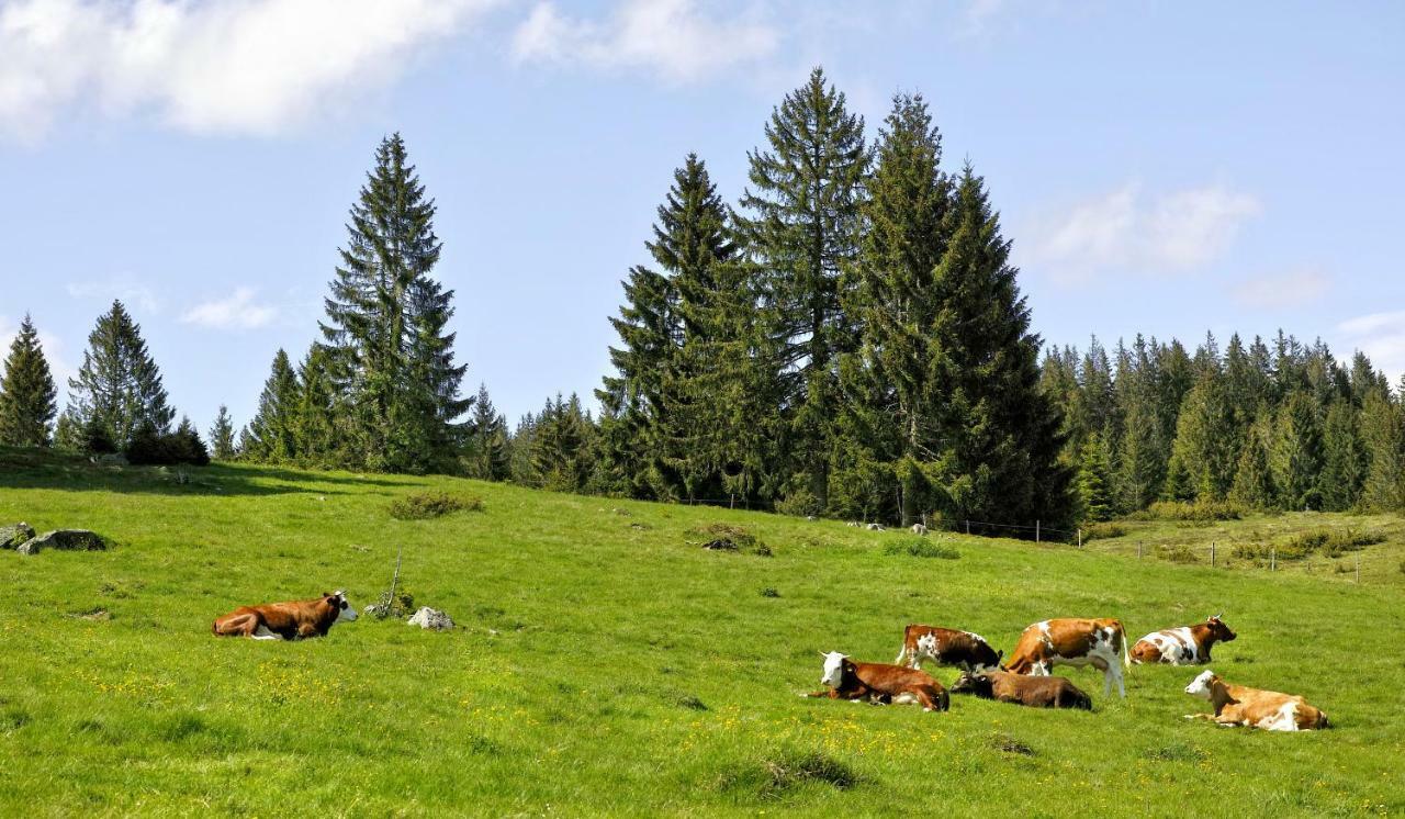 C3 Albmatte-Fewo Sauna, Hallenbad Aussenbecken Massagen Nebenan ซังคท์บลาเซียน ภายนอก รูปภาพ