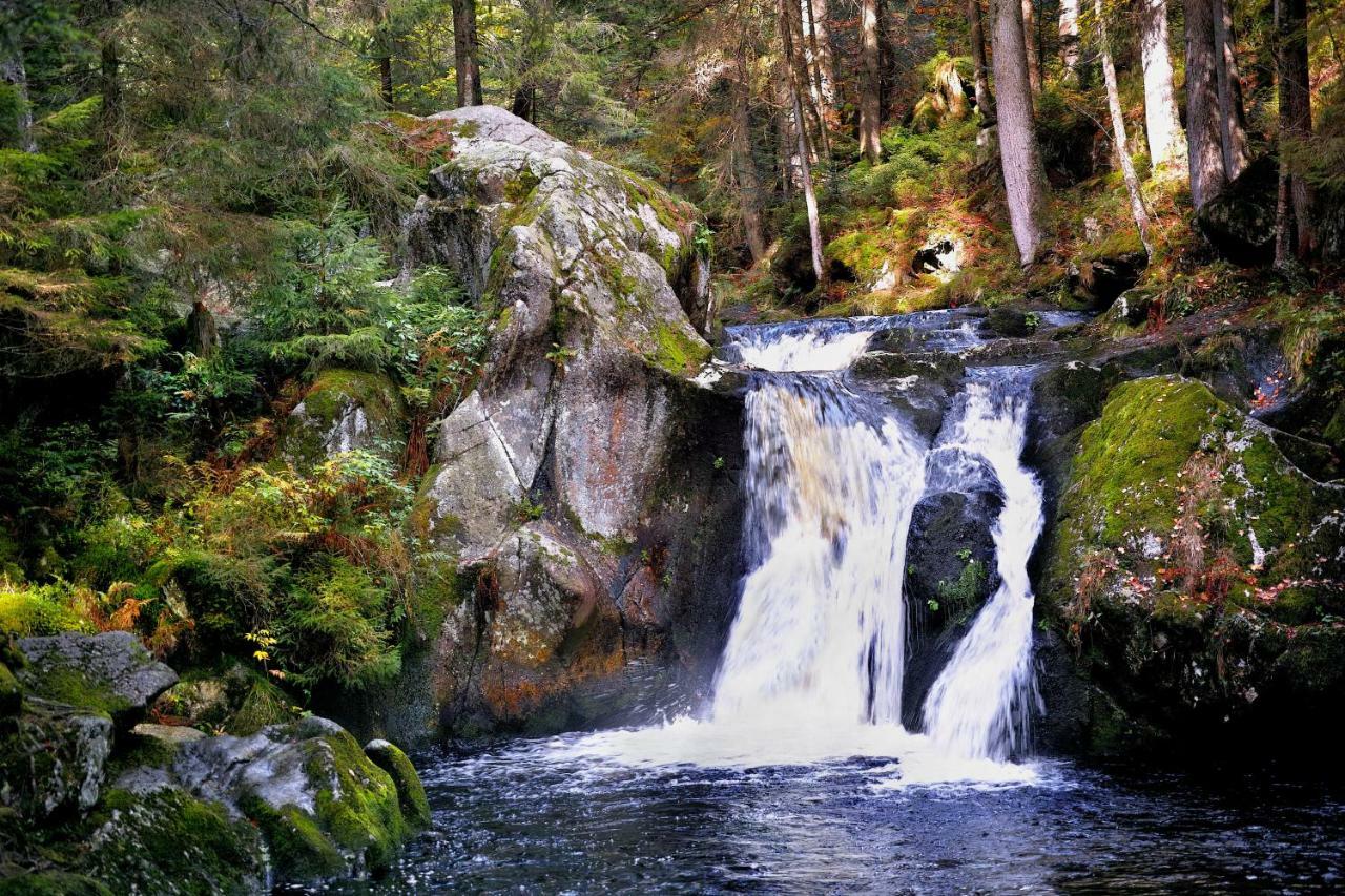C3 Albmatte-Fewo Sauna, Hallenbad Aussenbecken Massagen Nebenan ซังคท์บลาเซียน ภายนอก รูปภาพ