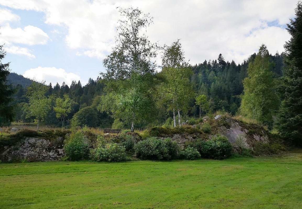 C3 Albmatte-Fewo Sauna, Hallenbad Aussenbecken Massagen Nebenan ซังคท์บลาเซียน ภายนอก รูปภาพ